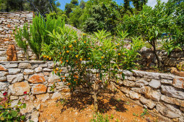 Apartmány Vlaho I, jižní zátoky, ostrov Hvar, Chorvatsko