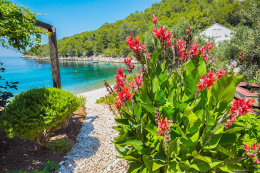 Apartmány Oleander - pěšina k pláži, jižní zátoky, ostrov Hvar, Chorvatsko