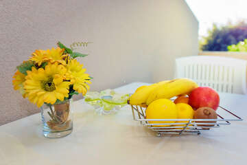 A1 - apartmány Marcelo, Mandre, ostrov Pag, Chorvatsko