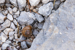 Výstup na Sv. Iliju 961 m n. m. , Gradac, Chorvatsko