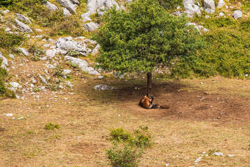 Výstup na Sv. Iliju 961 m n. m. , Gradac, Chorvatsko