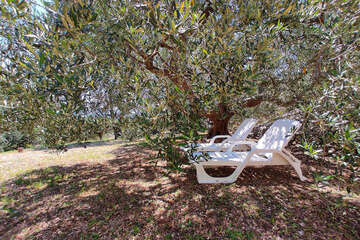 Apartmány Nevera - lehátka u domu, jižní zátoka ostrova Hvar, Chorvatsko