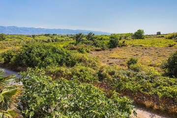 A2 - apartmány Bendžo, Povljana, ostrov Pag, Chorvatsko