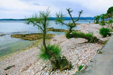 Pláže Orebič, poloostrov Pelješac, Chorvatsko