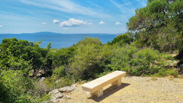 Olivovníky Lun, ostrov Pag, Chorvatsko 