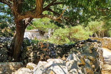 Tovarnele - Lun, ostrov Pag, Chorvatsko