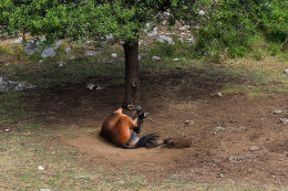 Výstup na Sv. Iliju 961 m n. m. , Gradac, Chorvatsko