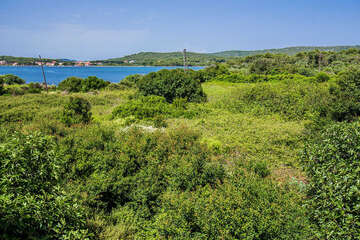 A1 - apartmány Jozo, Polje - Veli Rat, Dugi otok, Chorvatsko