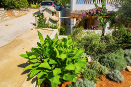 A1 - apartmány Aranka, Mandre, ostrov Pag, Chorvatsko