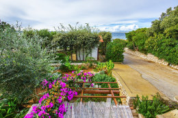 A3 - apartmány Aranka, Mandre, ostrov Pag, Chorvatsko