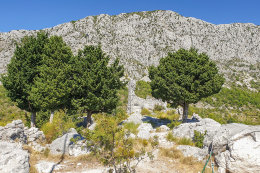 Gradina - pohled na Biokovo, Makarská riviéra, Chorvatsko