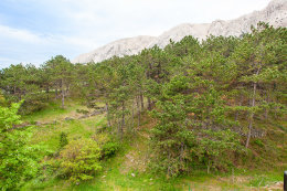 Apartmány Lisko - okolí domu, Baška, ostrov Krk, Chorvatsko