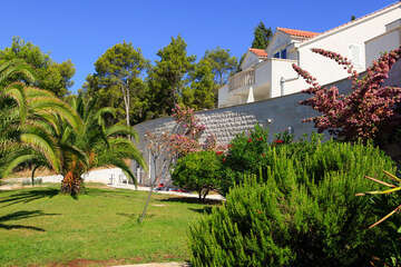 Apartmány Illyrian Resort, Milna, ostrov Brač, Chorvatsko