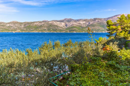 A3 - apartmány Ante, Korčula, ostrov Korčula, Chorvatsko