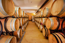 Trstenik - vinařství Grgić, poloostrov Pelješac, Chorvatsko