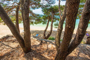 Mobilhome Blato - interiéry typ B