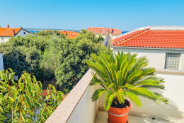 A2 - apartmány Fran, Mandre, ostrov Pag