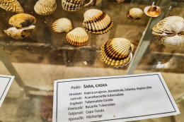 Muzeum soli v Pagu, Pag město, ostrov Pag, Chorvatsko