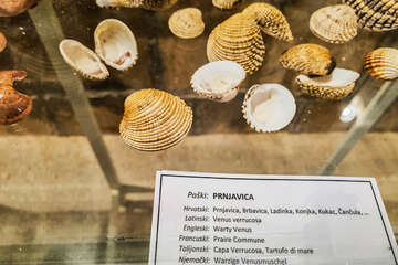 Muzeum soli v Pagu, Pag město, ostrov Pag, Chorvatsko