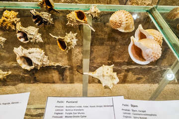 Muzeum soli v Pagu, Pag město, ostrov Pag, Chorvatsko