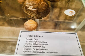 Muzeum soli v Pagu, Pag město, ostrov Pag, Chorvatsko