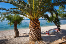 Apartmány Živogošće 11 - oblázková pláž, Živogošće-Blato, Chorvatsko