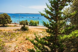 A4 - apartmány Suzana, Mandre, ostrov Pag, Chorvatsko