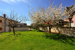 Apartmány Orijan, Novigrad, Istrie, Chorvatsko