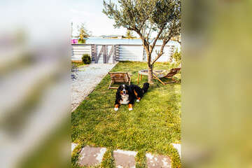 Mobilhome Mir 1 - Pakoštane, Zadarská riviéra, Chorvatsko