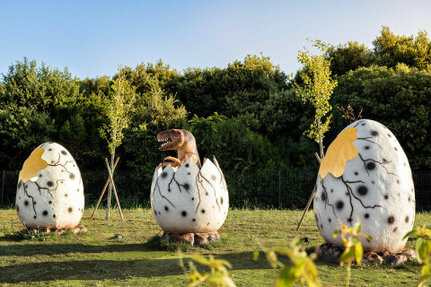 Mobilhome Mon Perin Resort - Paleo Water Park, Bale - Rovinj, Istrie, Chorvatsko