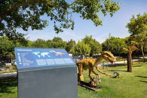 Mobilhome Mon Perin Resort - Paleo Water Park, Bale - Rovinj, Istrie, Chorvatsko