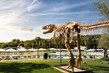 Mobilhome Mon Perin Resort - Paleo Water Park, Bale - Rovinj, Istrie, Chorvatsko