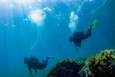 Mobilhome Mon Perin Resort - škola potápění v kempu (v části Colona), Bale - Rovinj, Istrie, Chorvatsko