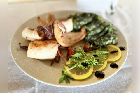 Apartmány Garden Resort-L - v restauraci, Potočnica, ostrov Pag, Chorvatsko