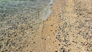 Hotel Flores**** - oblázková pláž Kupalište 100 m od hotelu, Poreč, Istrie, Chorvatsko