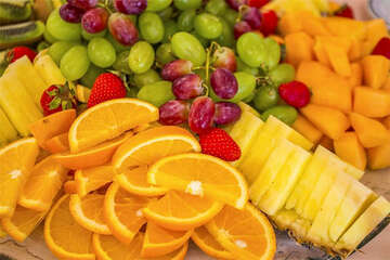 Hotel Flores**** - v restauraci, Poreč, Istrie, Chorvatsko