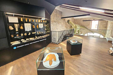 Bale - Galerija Ulika (muzeum dinosaura), Istrie, Chorvatsko