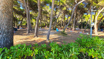 Apartmány Borik I - borovicový les u pláže, Rovinj, Istrie, Chorvatsko