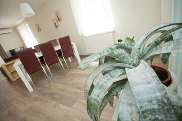 A1 - apartmány Borik II, Rovinj, Istrie, Chorvatsko