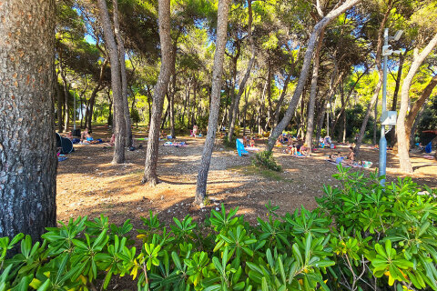 Apartmány Borik II - borovicový les u pláže, Rovinj, Istrie, Chorvatsko