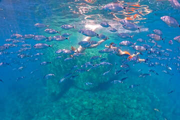 Šnorchlování u jeskyně Galubova špilja, výlet na kajacích, Pula, Istrie, Chorvatsko