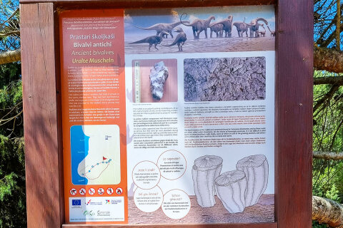 Poloostrov Kamenjak, Chorvatsko Istrie