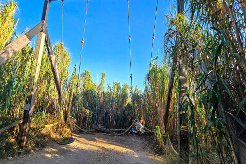 Houpačky v Safari Baru, poloostrov Kamenjak, Chorvatsko Istrie