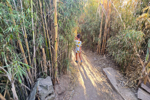 Stezka do Safari Baru, poloostrov Kamenjak, Chorvatsko Istrie