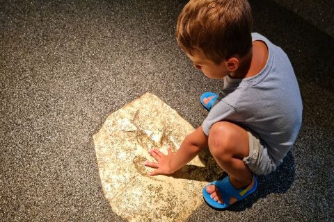 Muzeum neandrtálců v Krapině (Muzej krapinskih neandertalaca)