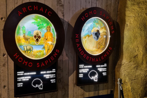 Muzeum neandrtálců v Krapině (Muzej krapinskih neandertalaca)