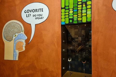 Muzeum neandrtálců v Krapině (Muzej krapinskih neandertalaca)