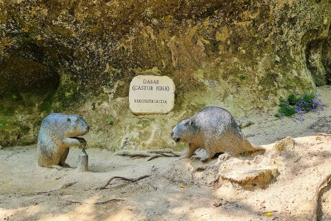 Muzeum neandrtálců v Krapině (Muzej krapinskih neandertalaca)
