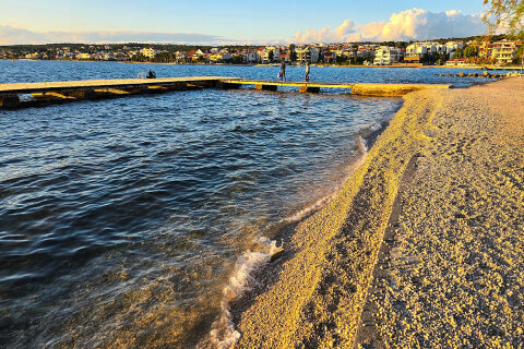 Hotel Donat*** - oblázková pláž u hotelu, Zadar, Chorvatsko