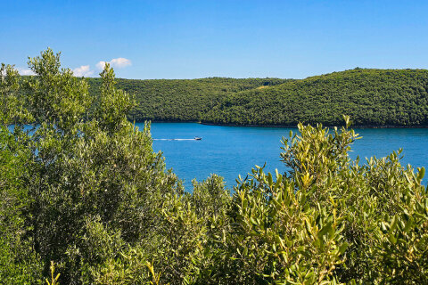 Limský záliv, Istrie, Chorvatsko